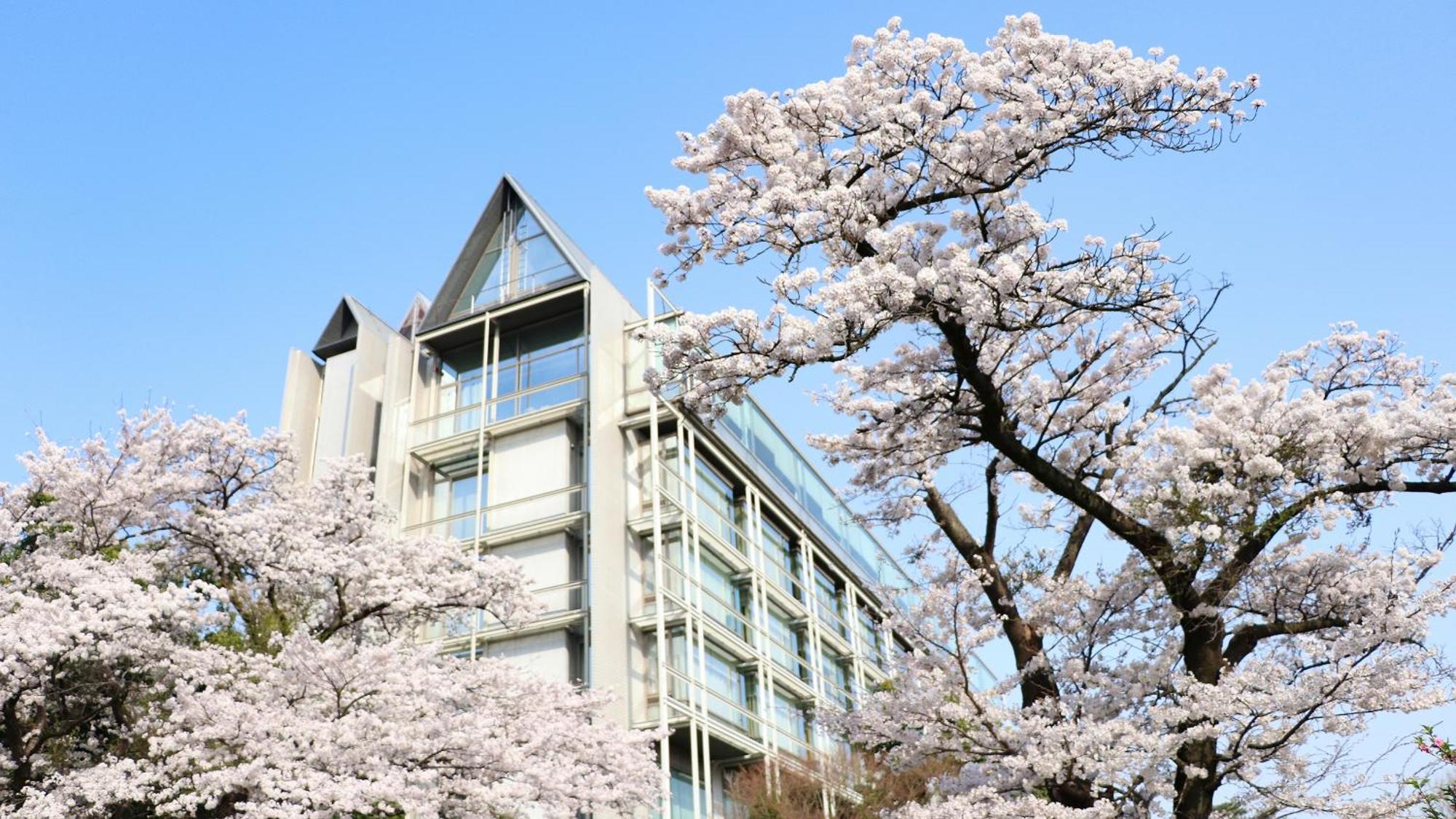 Kikusuitei Higashimurayama Exteriér fotografie